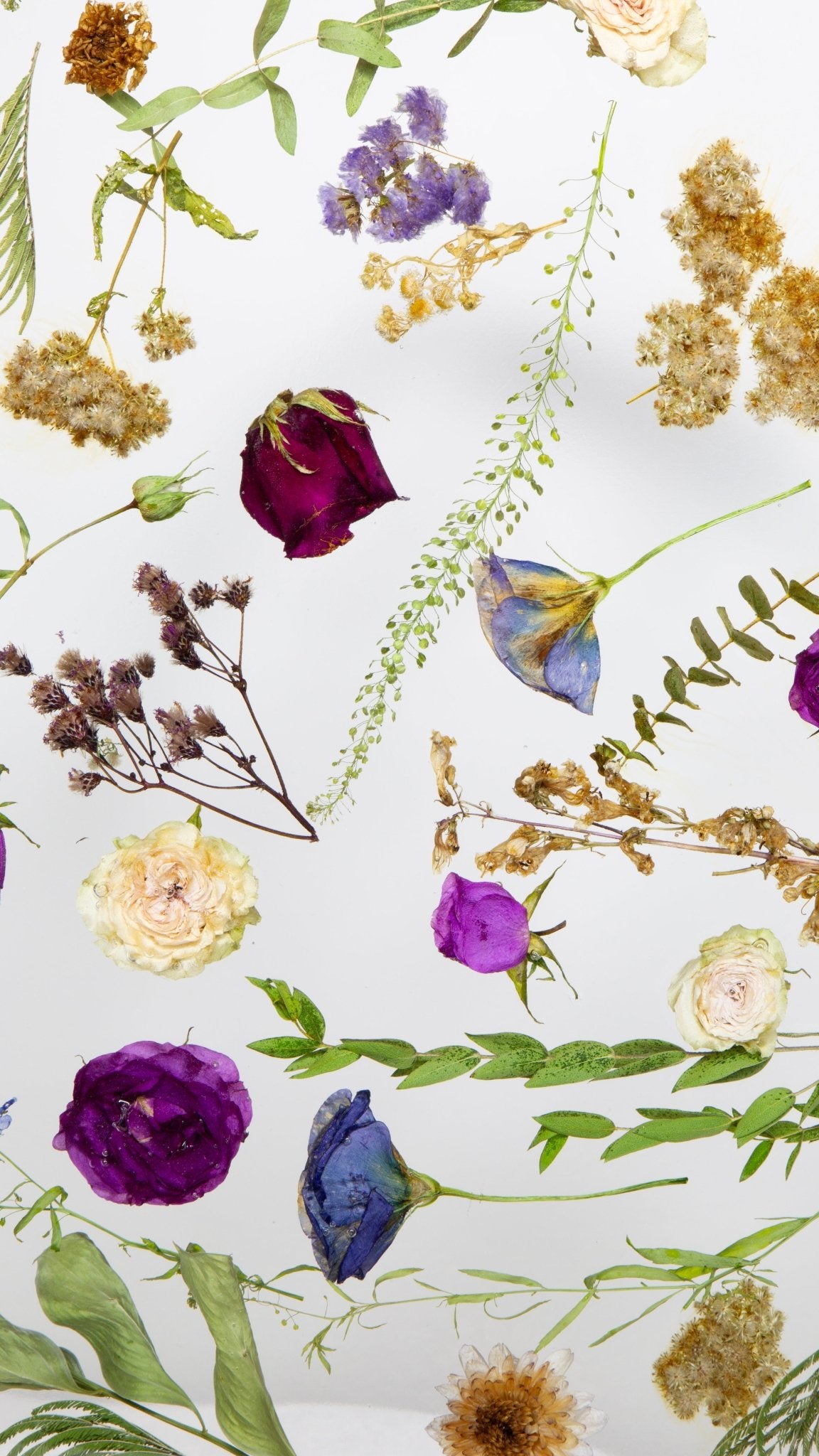 Botanical Resin Table "Forever 24 No21" by Serge Holenko 24" Round, 18"H - ThePopUp Art Gallery